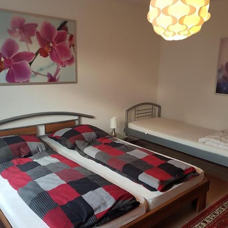 Appartamento Nicoles Niedschloesschen Rehlingen-Siersburg Esterno foto